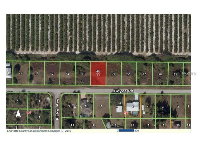 Land For Sale: 29180 Boyce Rd, Punta..