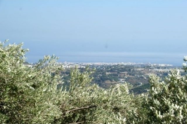 Country Houses for Sale in Ctra...