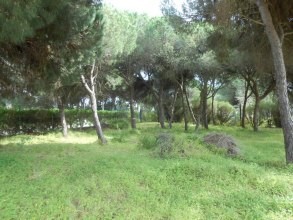 For Sale: Plot In Central Algarve..