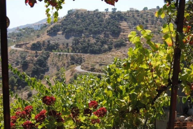 Rural land for Sale in Archez 30.000..