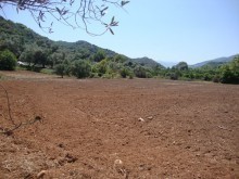 Agricultural Land For Sale In Crete