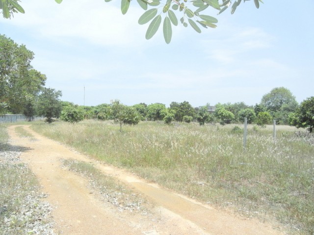 12 Rai plot of land in Pong, 3 min...