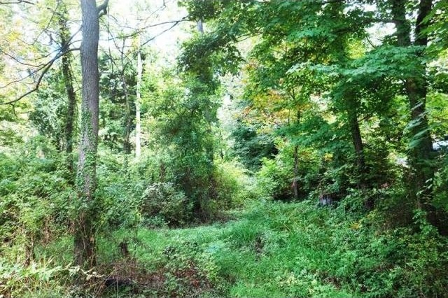 Land For Sale: Greenwich, Connecticut