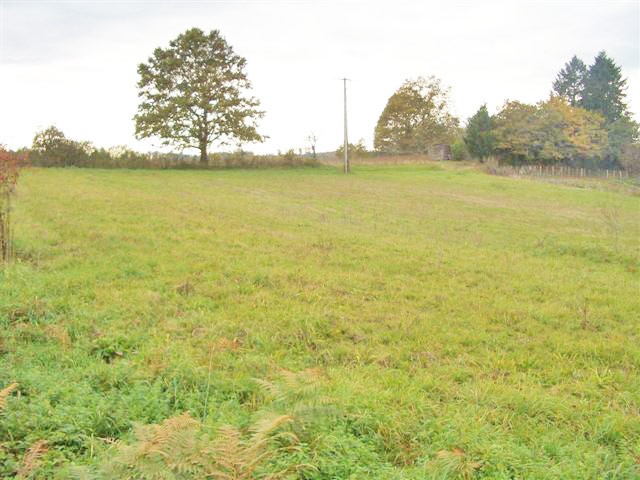 Building Plot In The Nontron Area..
