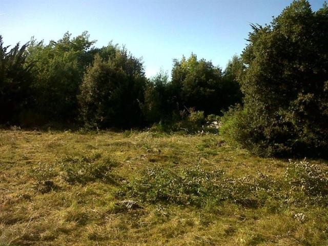 House For Sale: 17880 LES PORTES EN RE - 2