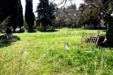 Land For Sale In Crete - 2