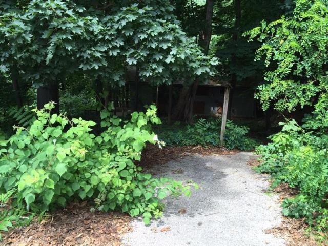 Land For Sale: Ardsley, New York - 2