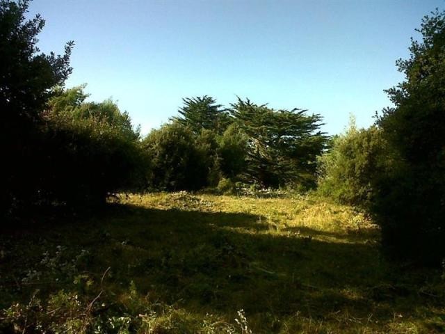 Off-Plan For Sale: 17880 LES PORTES EN.. - 2