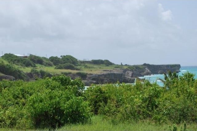 Property For Sale: Paragon Land, Christ.. - 2