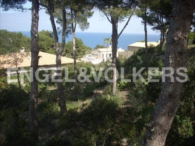 Plot with sea view and construction..