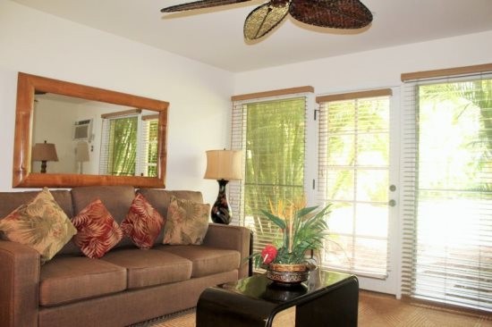 Aina Nalu Condo D101