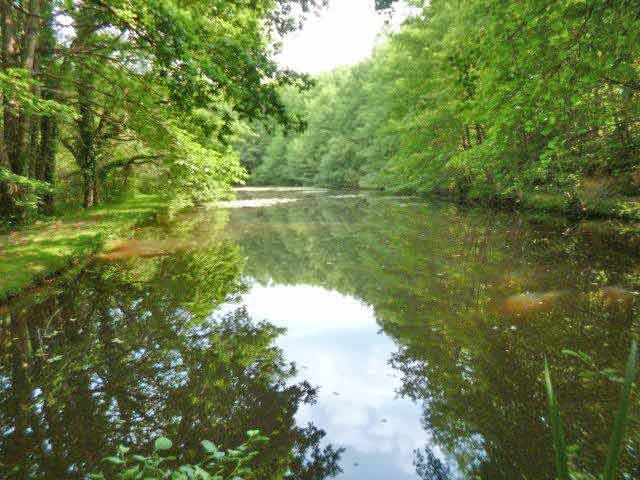 Beautifully Maintained And Woody..