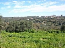 Property For Sale In Crete - 2