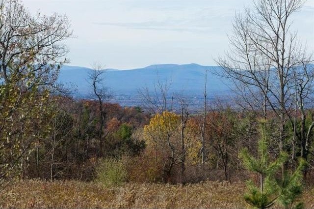 Land For Sale: Claverack, New York - 2