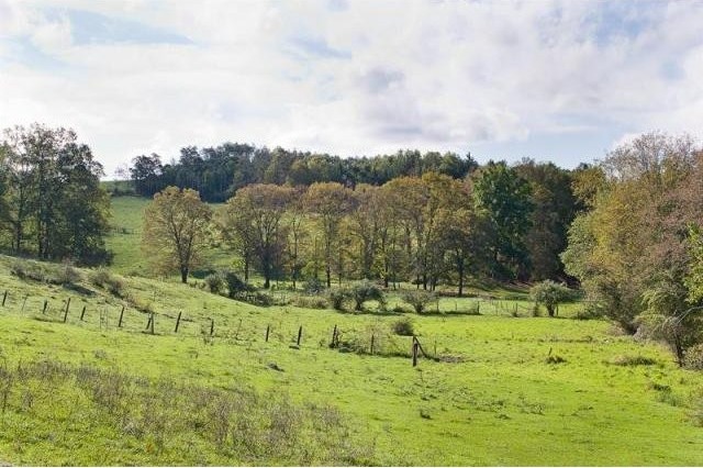 Land For Sale: Milan, New York - 2