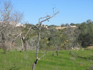 For Sale: Plot In West Algarve.. - 2