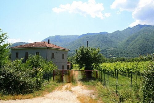 Beautiful property with a Cabernet.. - 2