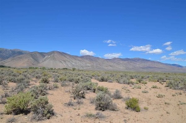 Land For Sale: Smith, Nevada