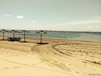 1 Bedroom - Apartment - Murcia - For..