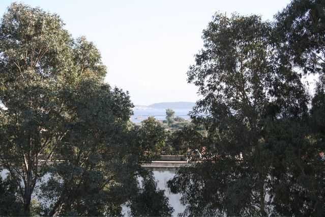 1 Bedroom - Apartment - For Sale
