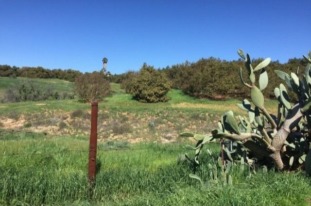Via Ranchitos Rd Fallbrook, California..