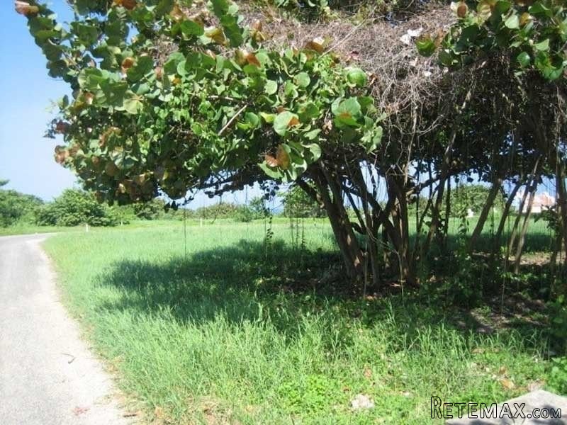 Ocean And Mountain View Lot - 2