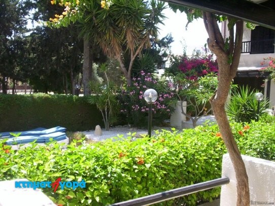Apartment-Flat in Kato Pafos, Pafos - 2