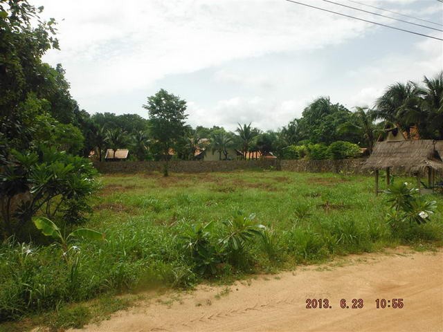 Land - For Sale - Nongpalai - EUR 78571