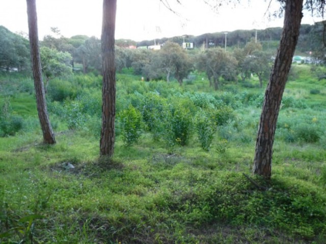Building Plot for sale in Hacienda las.. - 2