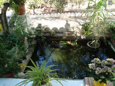 Villa - Fantastic villa located in the..