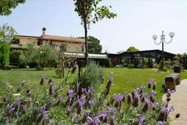 - Farm - For Sale