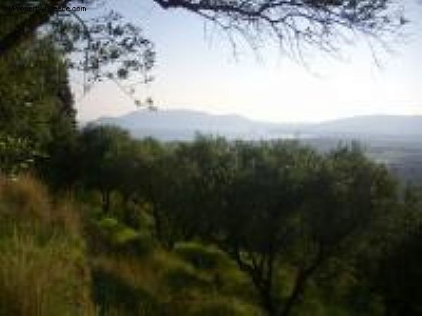 Kalamaki - 2