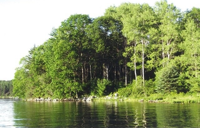 Land For Sale: Lot Rocky Road.. - 2