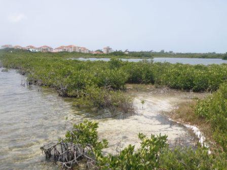 7acre Island With Huge Pontetial - 2