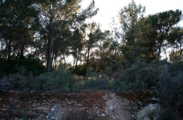 Large Plot In A Luxurious Area, Next To..