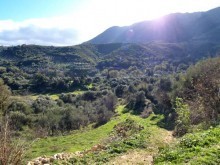 Crete Land For Sale In Tranquil Setting