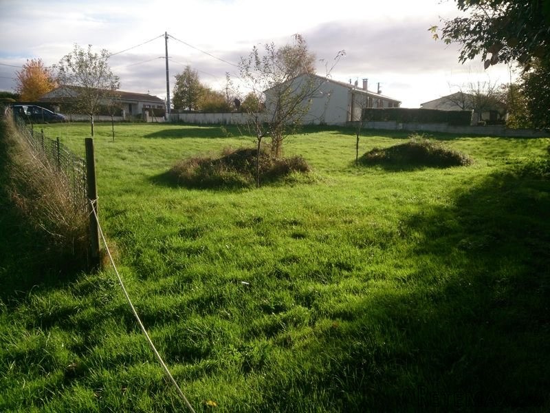 Building Land - 2