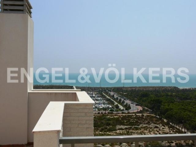 LAST OFFERS: Nice apartment overlooking.. - 2