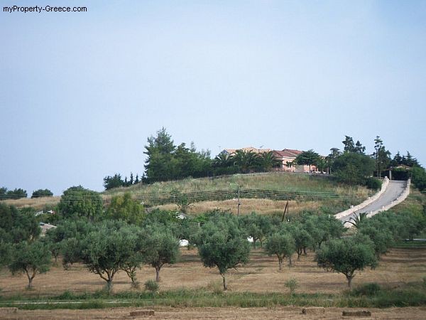Paliopigado - 2