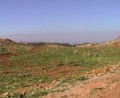 A Large Plot In Armeni - Rethymno