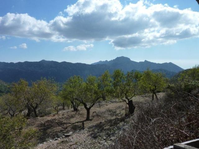 Stone Finca, Tarbena, Costa Blanca.. - 2