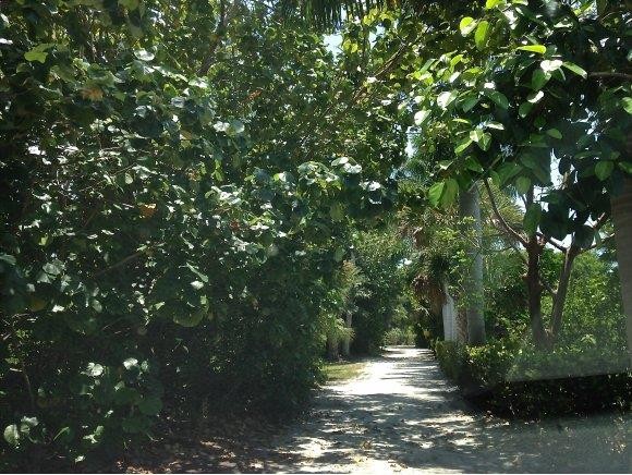 Land For Sale: Sanibel, Florida - 2