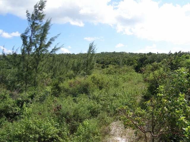 Singlefamilyvacant - Two parcels of..