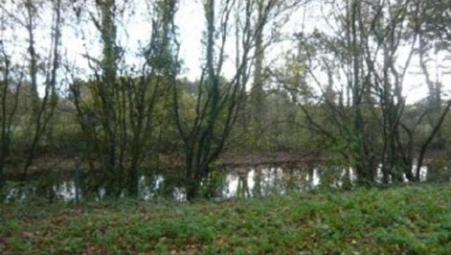 House, Outbuildings On 3 Hectares - 2