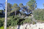 - Land - For Sale