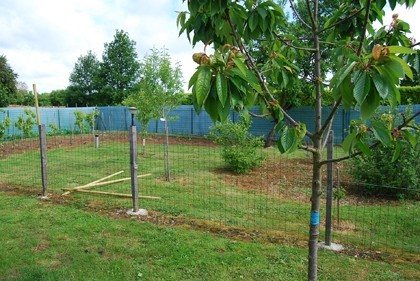 Two-bed property with 900m² of garden - 2