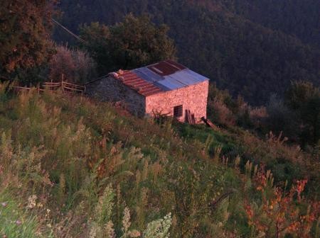 Land - For Sale - North of Lucca &..