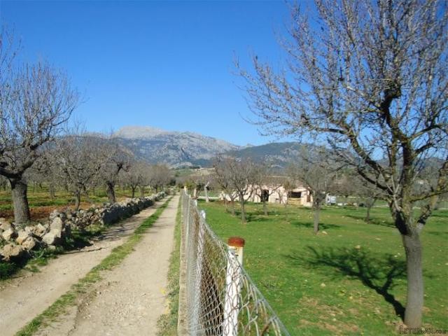 Quietly located plot with beautiful..