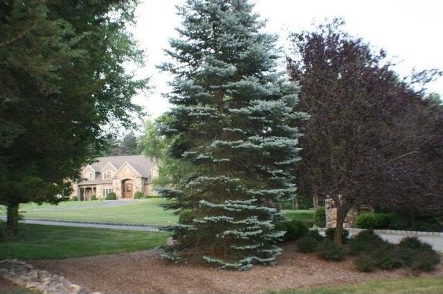 Land For Sale: 2 Fox Hunt Ct - 2