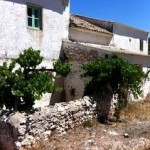Cortijo, Colomera - 2